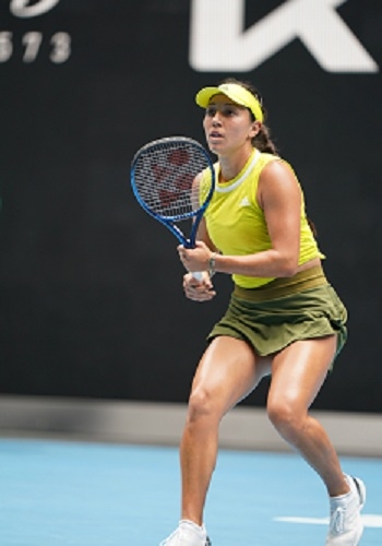 马这一以防 马这一以防