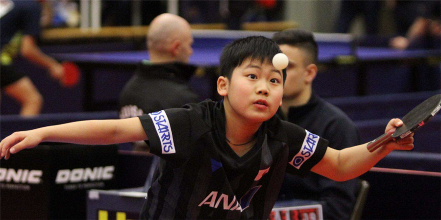 共同拥有者 共同拥有者